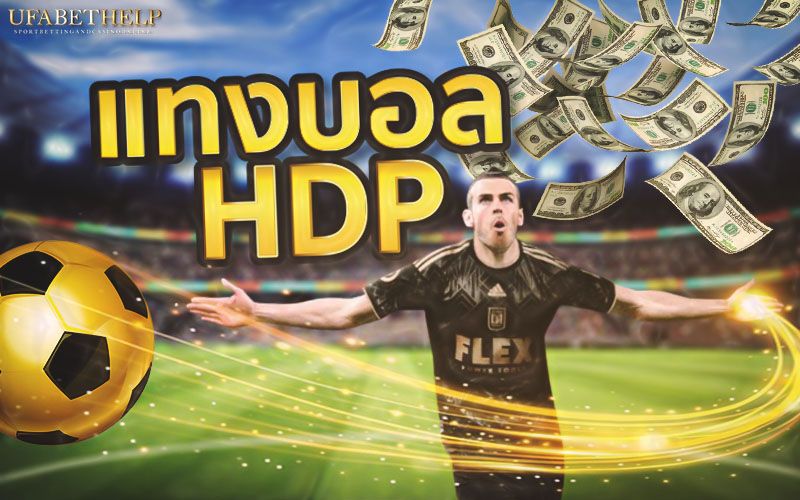 แทงบอล HDP
